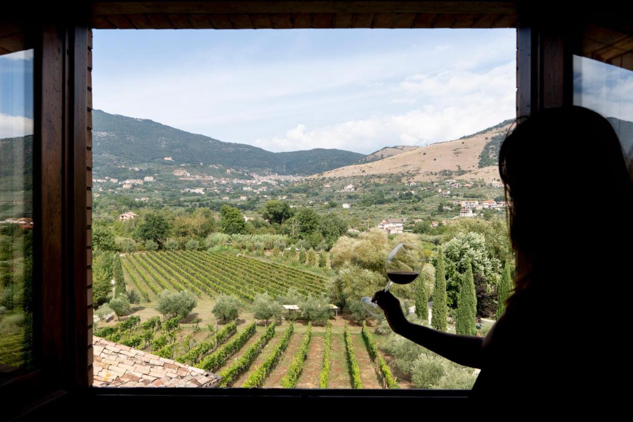 Séjour à la ferme Casale Verdeluna Wine Piglio