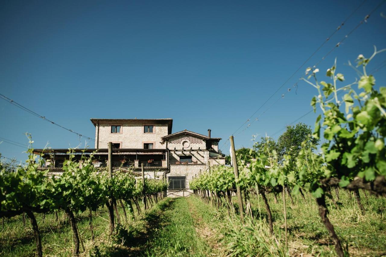 Casale Verdeluna Wine